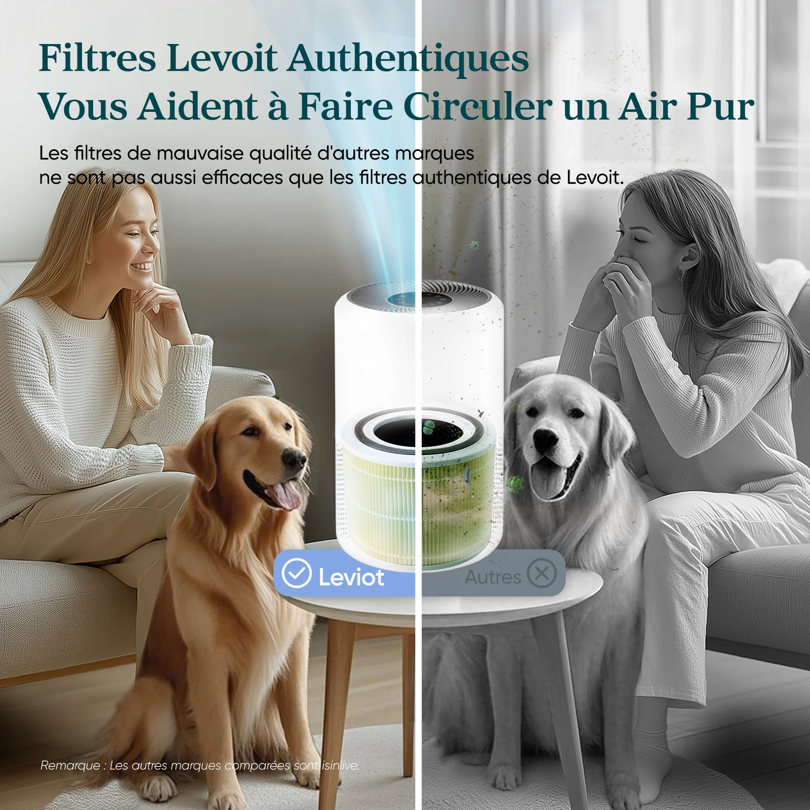Filtre de remplacement anti-poils pour purificateur d'air Levoit Core 300 - Image 3