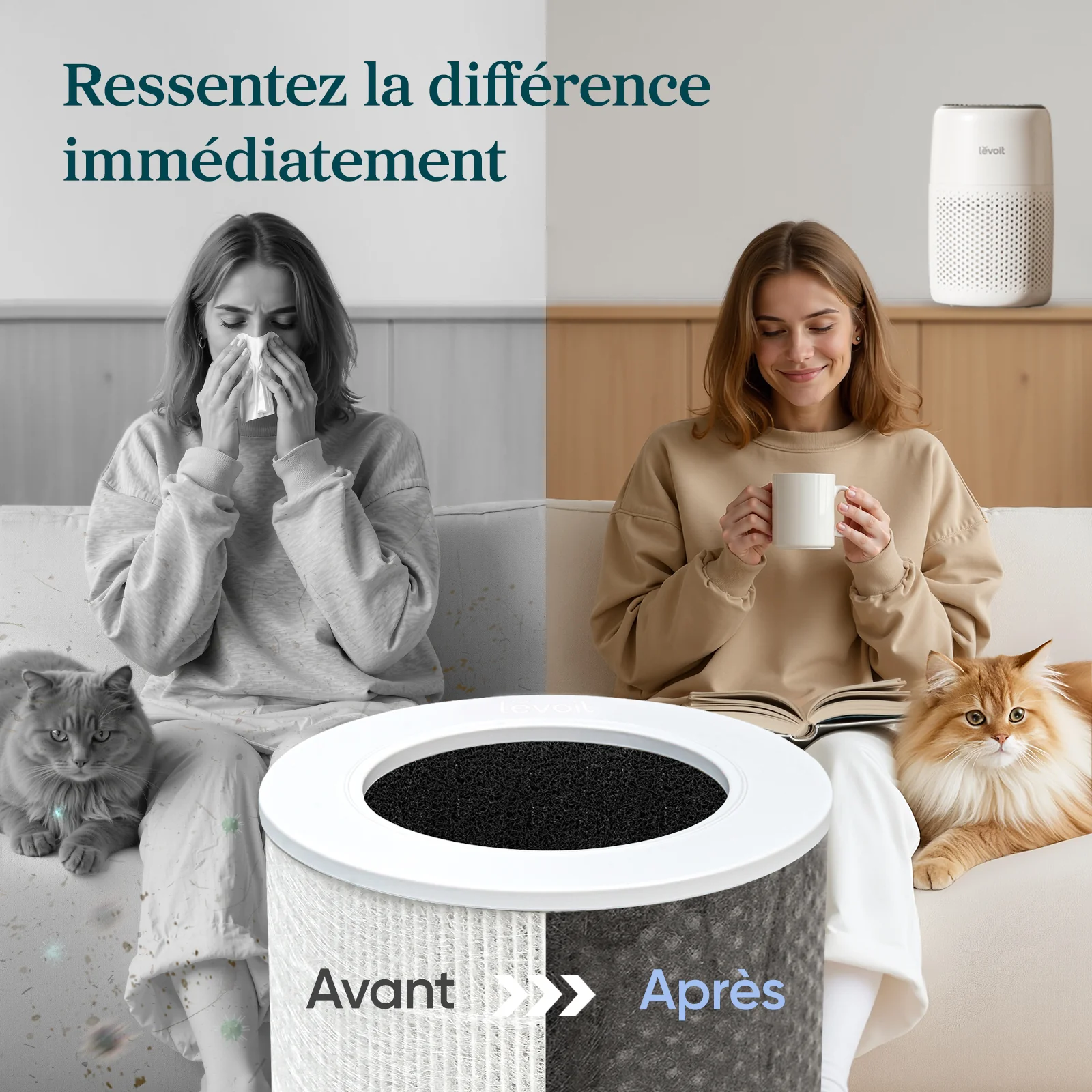 Levoit purificateur d'air Core Mini - Image 6